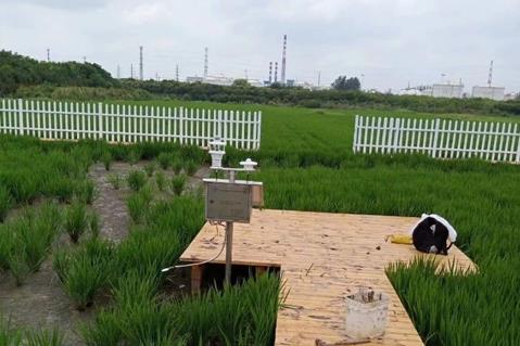农业应用场景